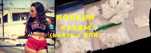 ГАЛЛЮЦИНОГЕННЫЕ ГРИБЫ Покров