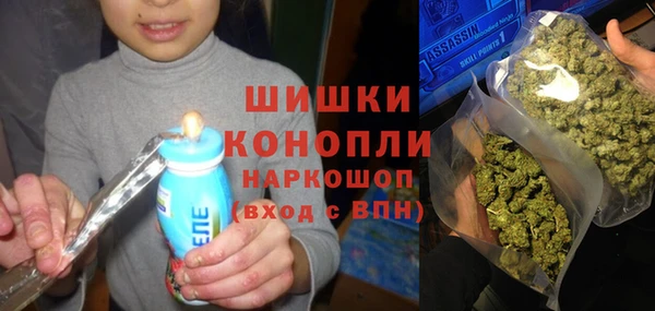 ГАЛЛЮЦИНОГЕННЫЕ ГРИБЫ Покров