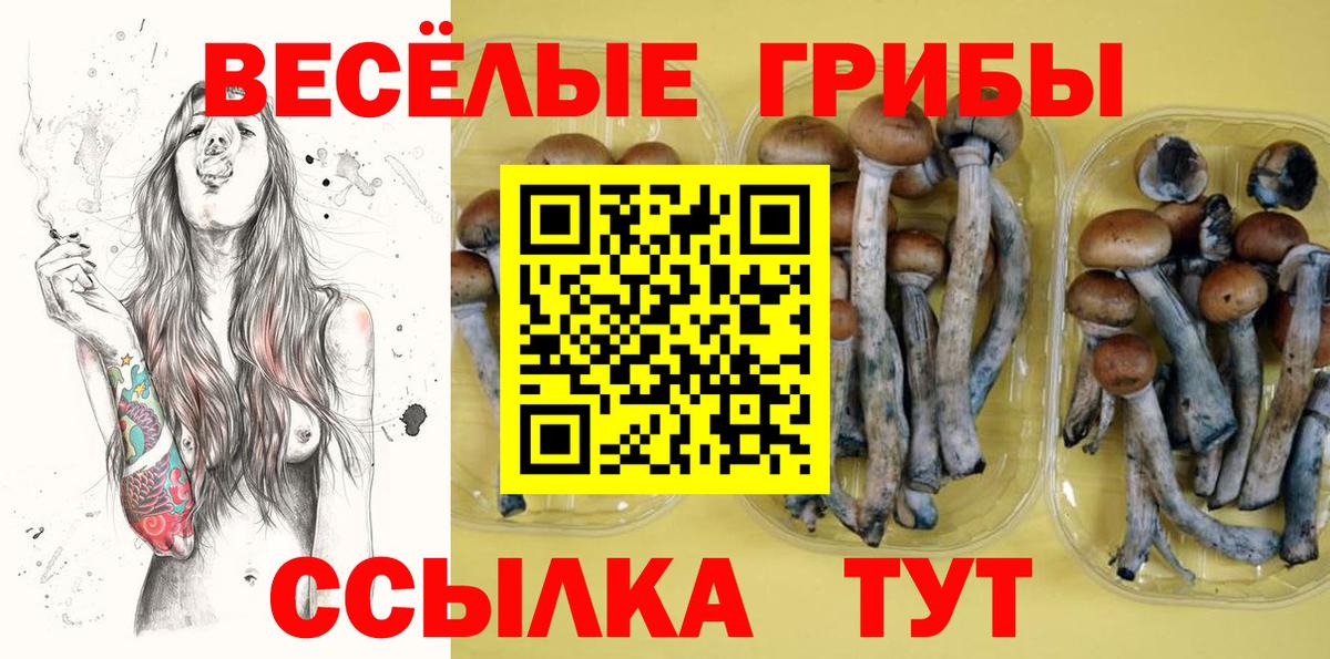 Галлюциногенные грибы GOLDEN TEACHER  Вход с VPN  Десногорск 